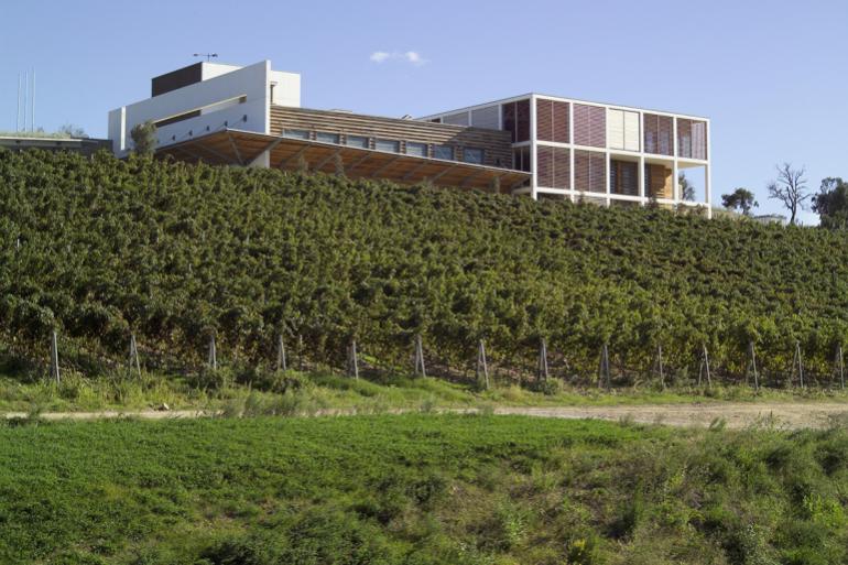 Cantina Colle Massari
